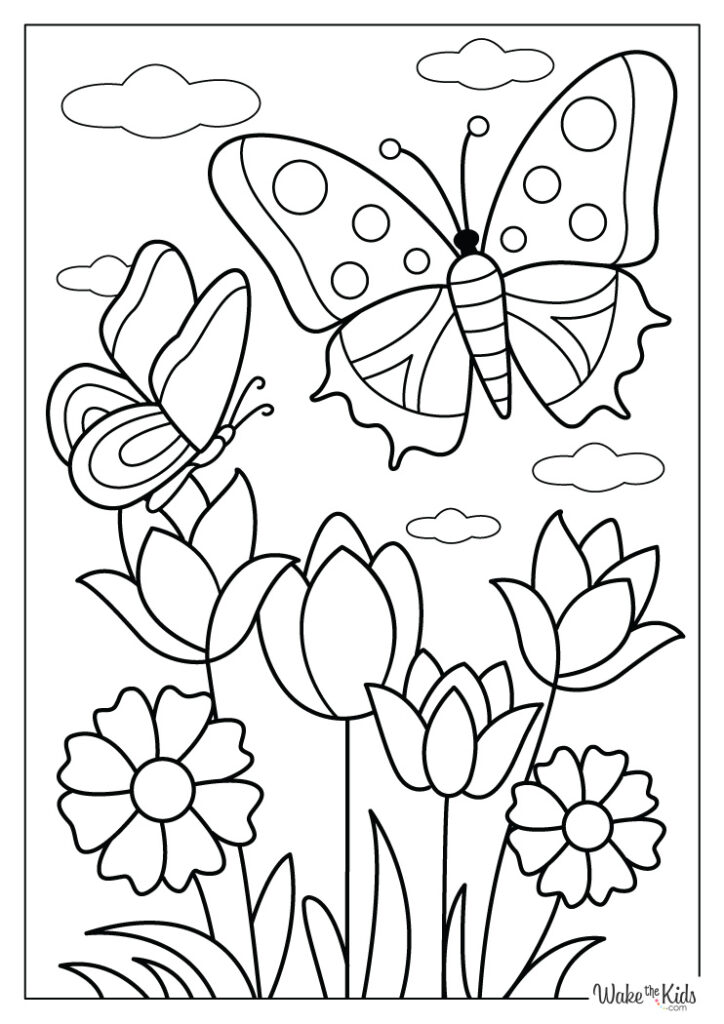 Flower and Butterfly Coloring Pages
