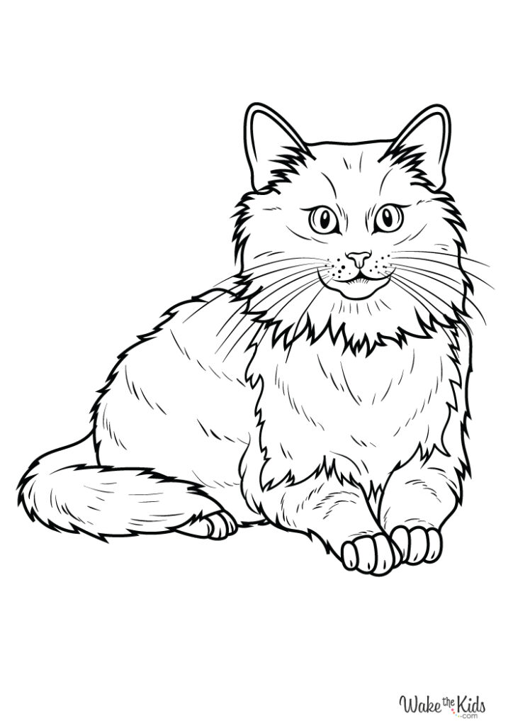 Cat Coloring Pages