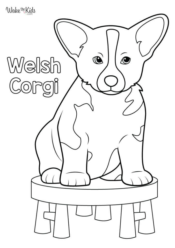 Corgi Coloring Pages