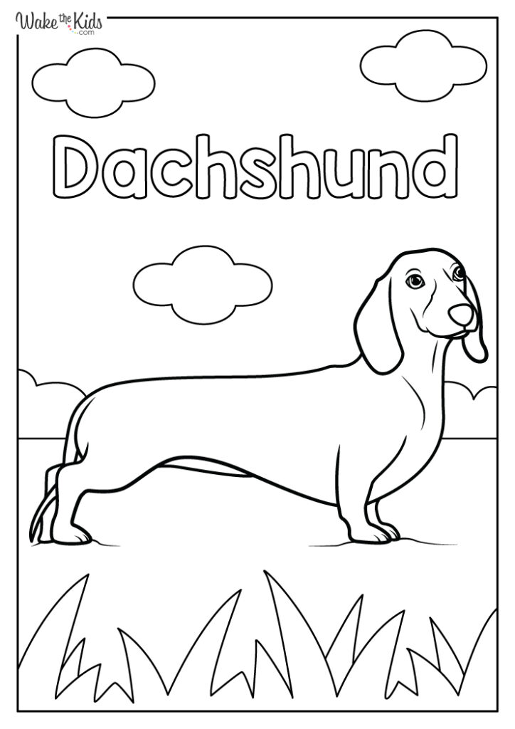 Dachshund Coloring Pages