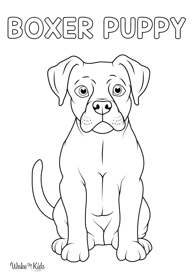 Boxer Coloring Pages Free Printable PDFs WakeTheKids Boxer Coloring Pages Free Printable PDFs WakeTheKids