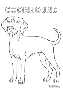 Coonhound Coloring Pages