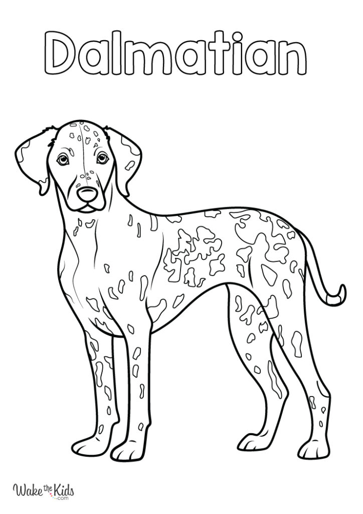 Dalmatian Coloring Pages