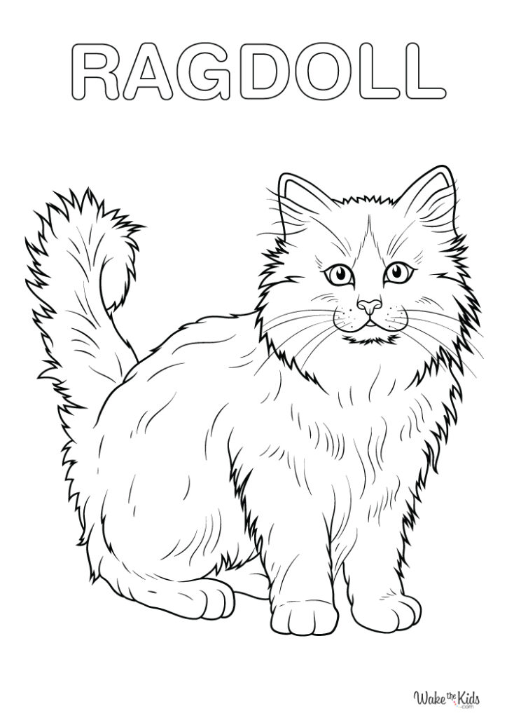 Ragdoll Cat Coloring Pages Free Printable PDFs WakeTheKids Ragdoll Cat Coloring Pages Free Printable PDFs WakeTheKids