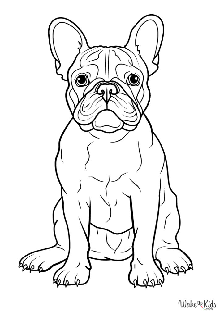 French Bulldog Coloring Pages (Free Printable PDFs) | WakeTheKids