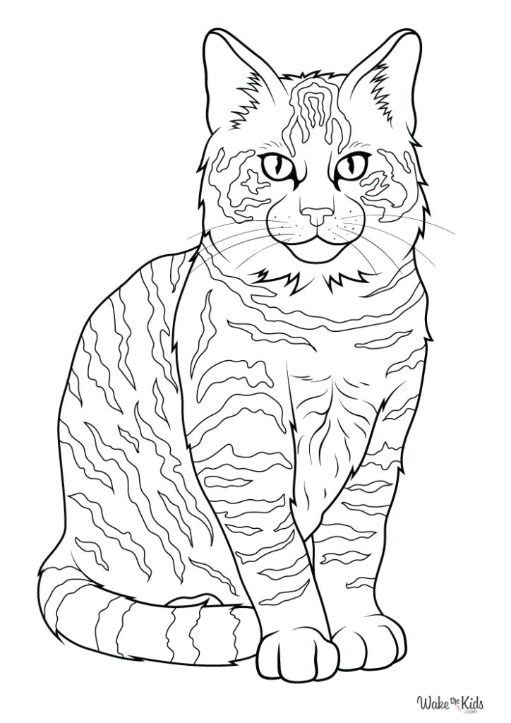 Tabby Cat Coloring Pages (Free Printable PDFs) | WakeTheKids