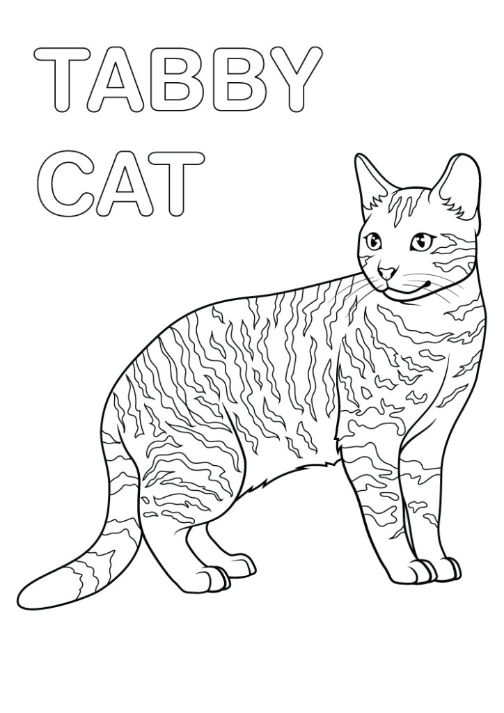 Persian Cat Coloring Pages Free Printable PDFs WakeTheKids