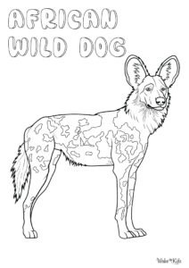 African Wild Dog Coloring Pages