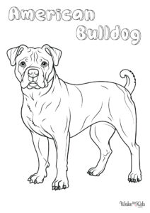 American Bulldog Coloring Pages