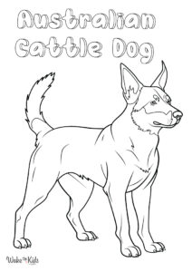 Australian Cattle Dog Coloring Pages