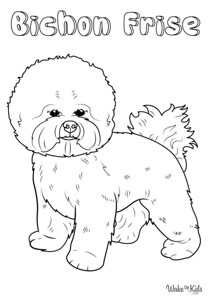 bichon-frise-coloring-pages-free-printable-pdfs-wakethekids