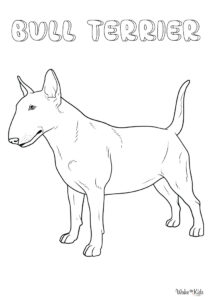 Bull Terrier Coloring Pages