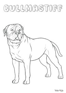 Bullmastiff Coloring Pages