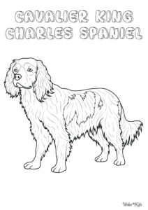 Cavalier King Charles Spaniel Coloring Pages