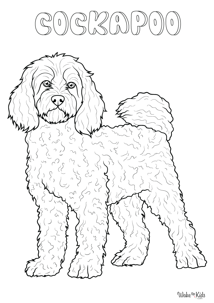 Cockapoo Coloring Pages 2025 