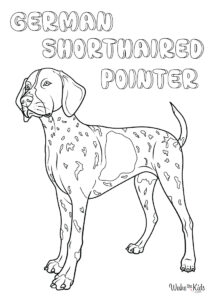 German Shorthaired Pointer Coloring Pages