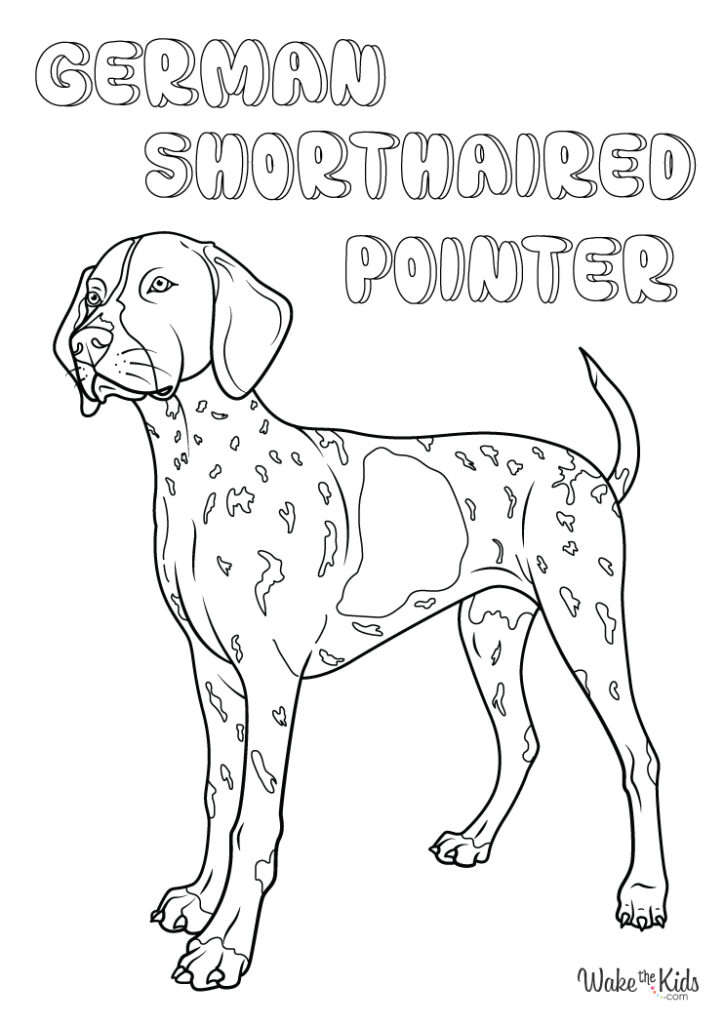 German Shorthaired Pointer Coloring Pages (Free Printable PDFs