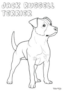 Jack Russell Terrier Coloring Pages