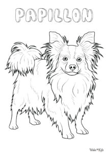 Papillon Dog Coloring Pages