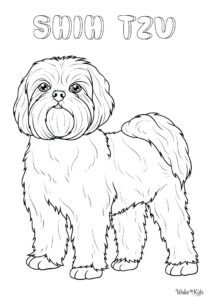 Shih Tzu Coloring Pages