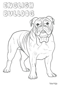 English Bulldog Coloring Pages