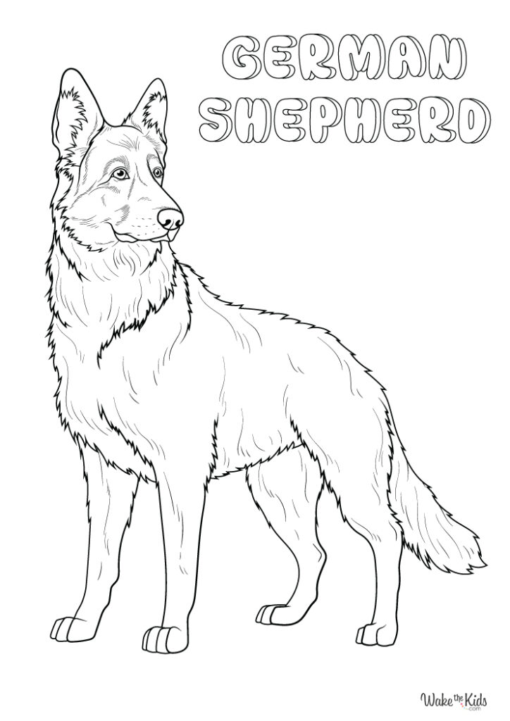 German Shepherd Coloring Pages