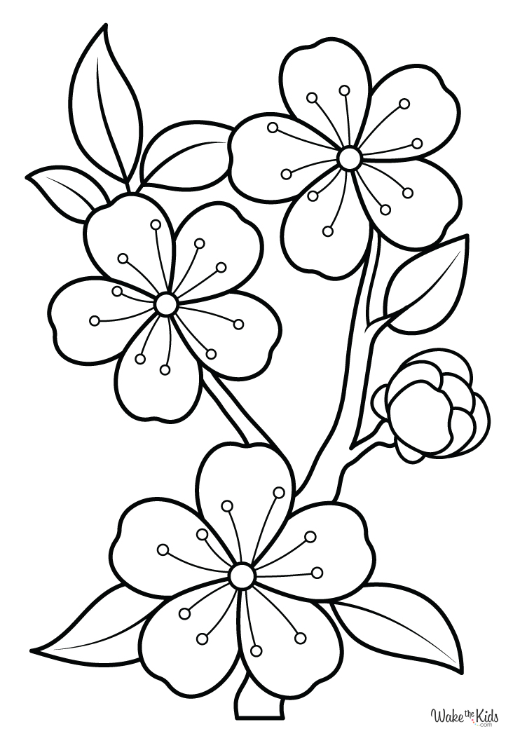 Cherry Blossom Coloring Pages Free Printable PDFs WakeTheKids Cherry Blossom Coloring Pages Free Printable PDFs WakeTheKids