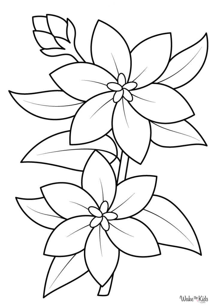 Jasmine Flower Coloring Pages (Free Printable PDFs) | WakeTheKids