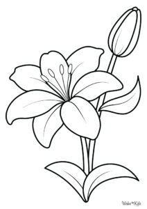 Lily Coloring Pages