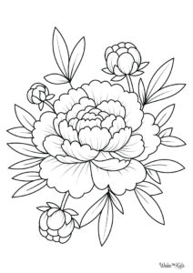 Peony Coloring Pages