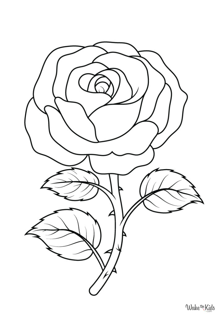 Free Rose Coloring Pages (Printable PDFs) | WakeTheKids