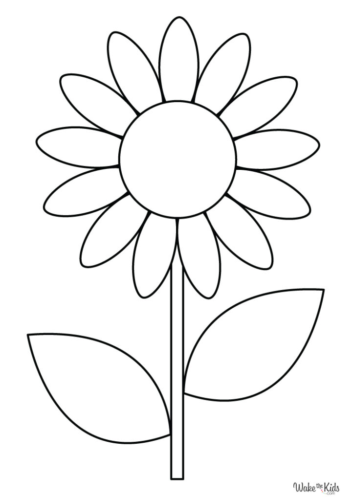 Sunflower Coloring Pages (Free Printable PDFs) | WakeTheKids