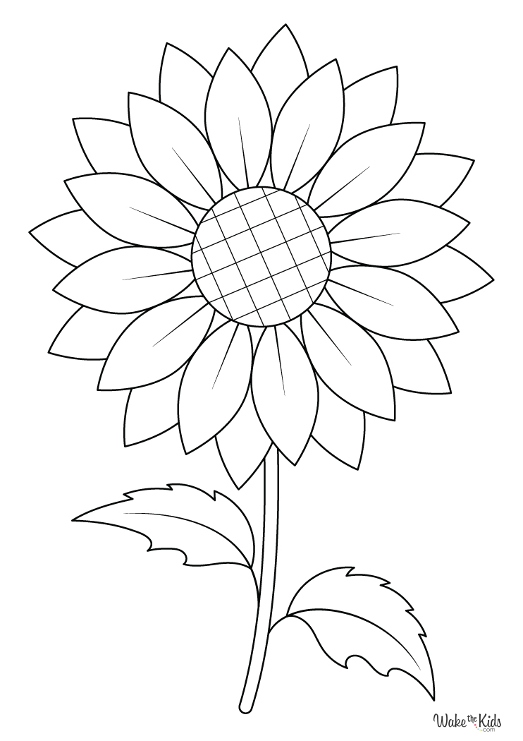 Sunflower Coloring Pages Free Printable PDFs WakeTheKids Sunflower Coloring Pages Free Printable PDFs WakeTheKids
