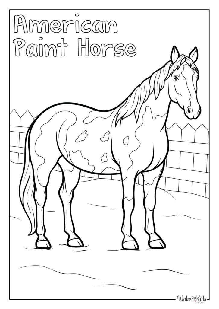 American Paint Horse Coloring Pages