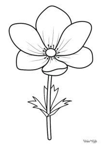Anemone Flower Coloring Pages