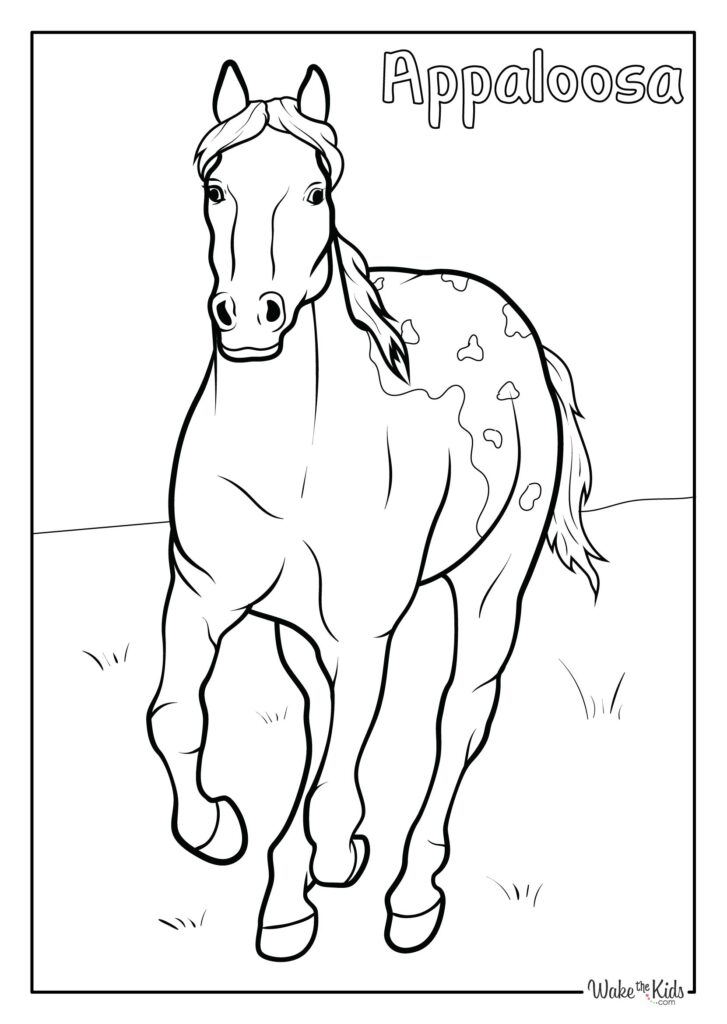 Appaloosa Horse Coloring Pages (Free Printable PDFs) WakeTheKids