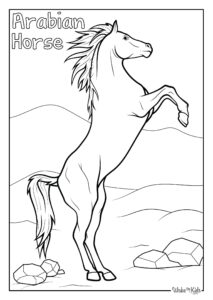 Arabian Horse Coloring Pages