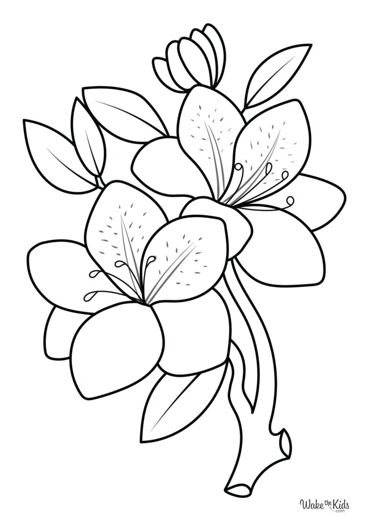 Azalea Coloring Pages