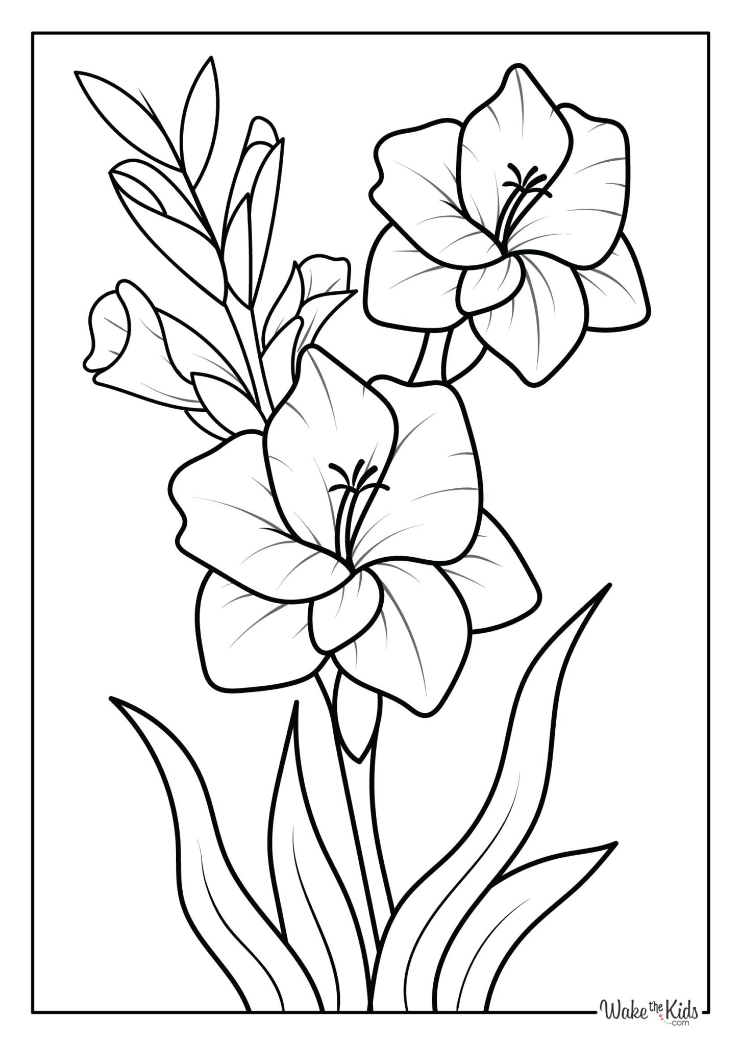 Lily Coloring Pages Free Printable PDFs WakeTheKids