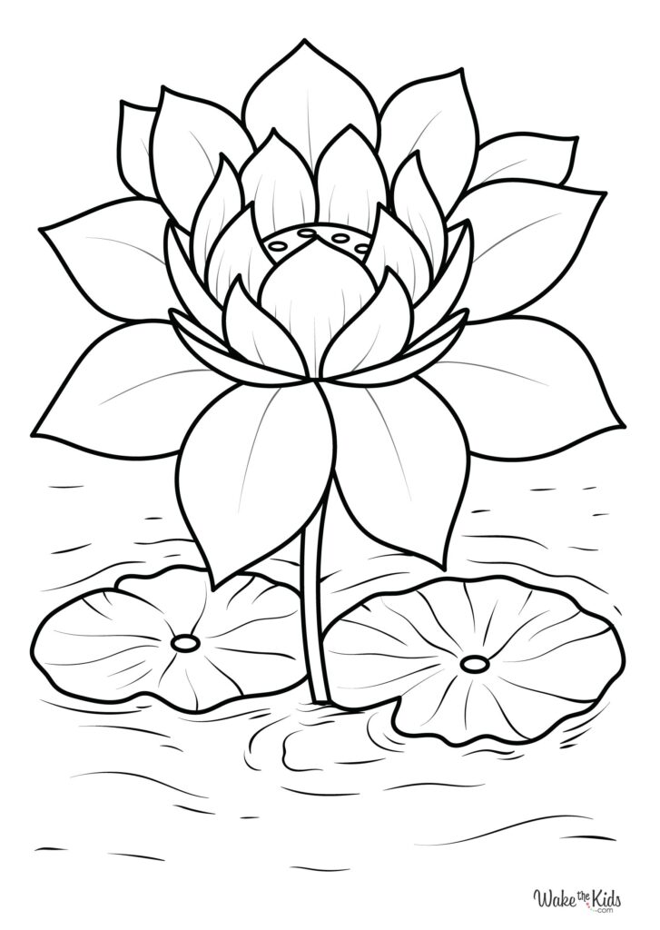 Lotus Coloring Pages