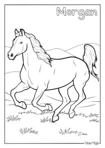 Morgan Horse Coloring Page