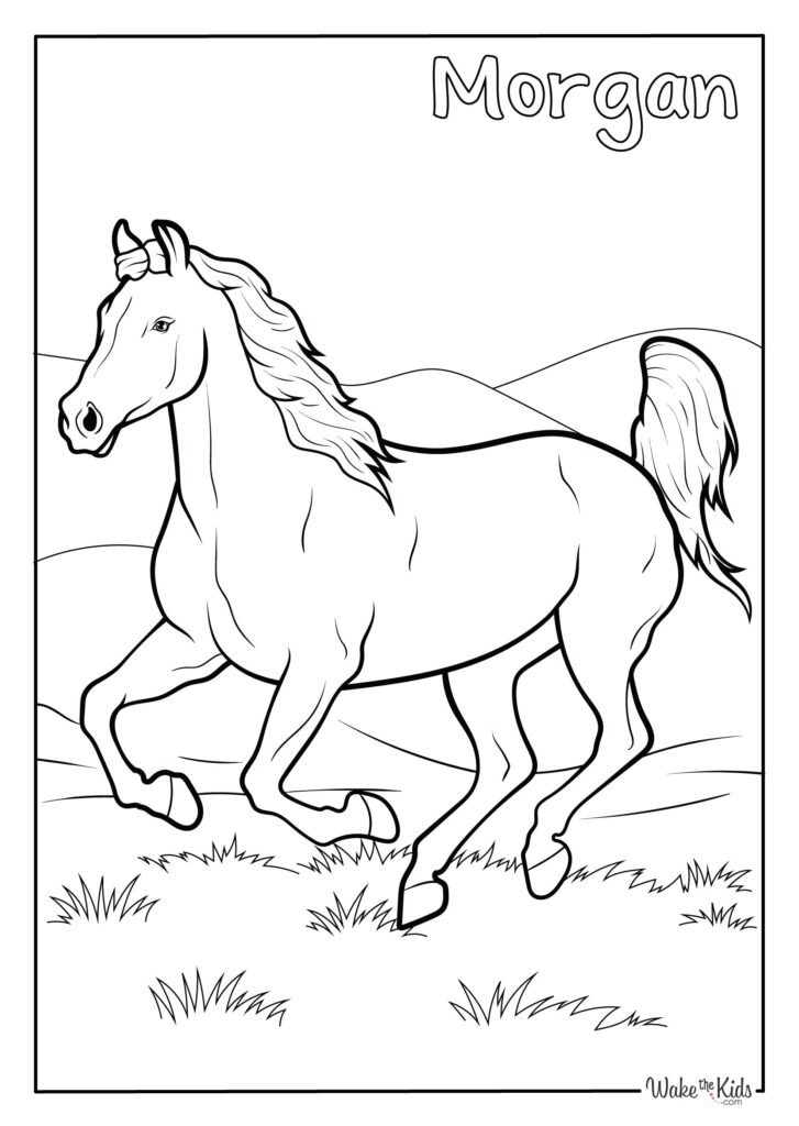 Morgan Horse Coloring Pages