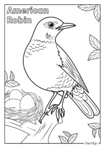 American Robin Coloring Pages