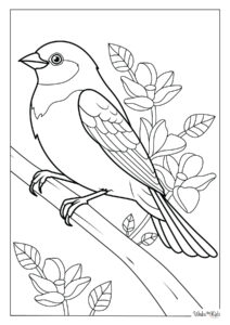 Bird Coloring Pages