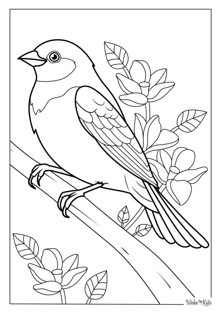 Bird Coloring Pages