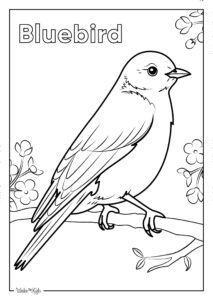 Bluebird Coloring Pages