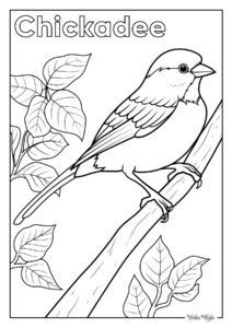 Chickadee Coloring Pages