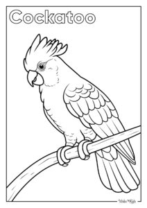 Cockatoo Coloring Pages