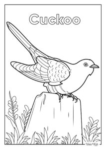 Cuckoo Coloring Pages