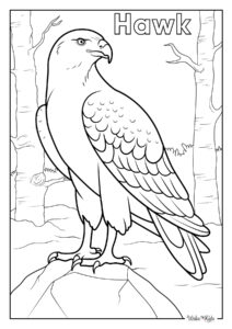 Hawk Coloring Pages